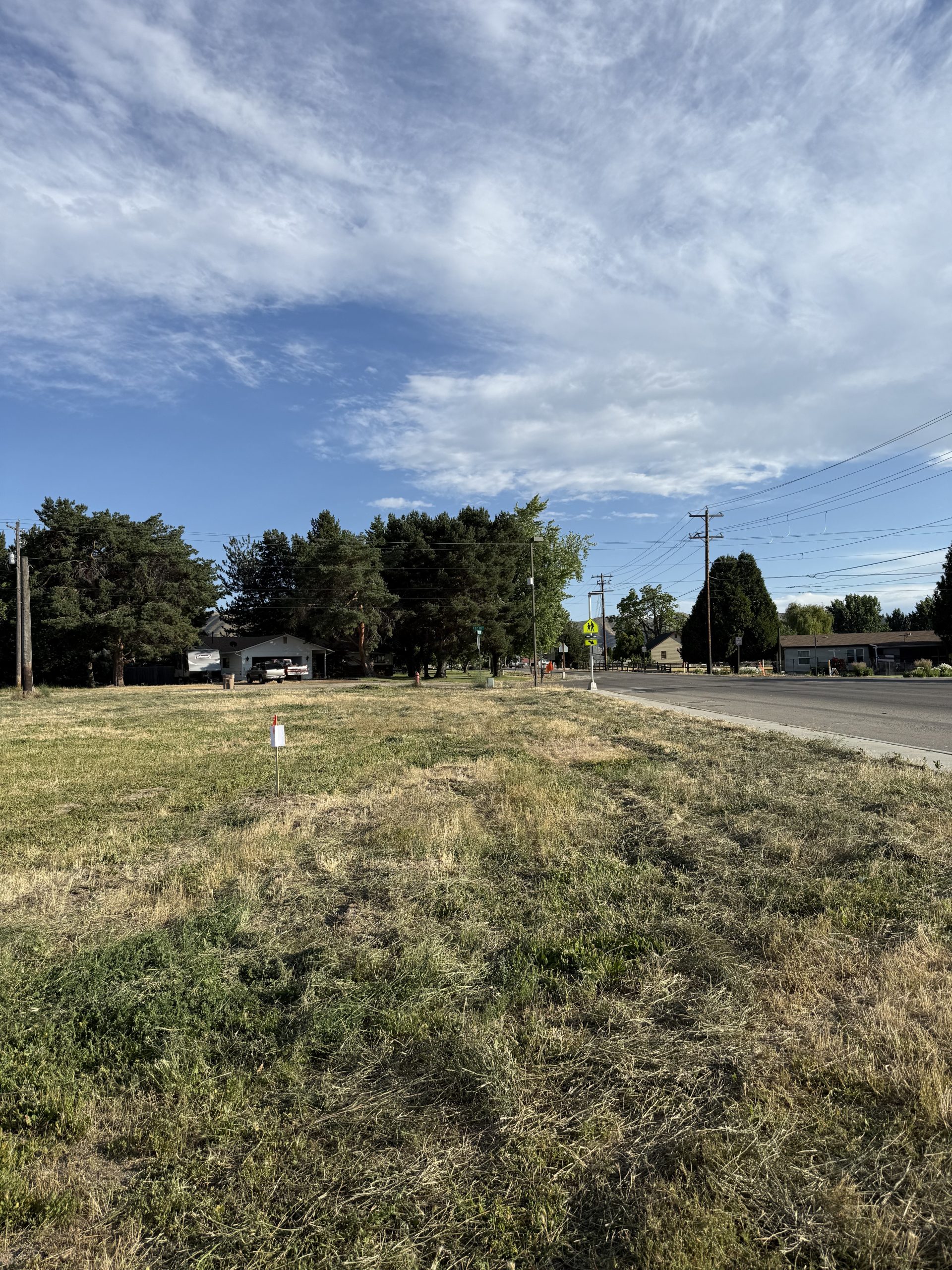 104223 Photo