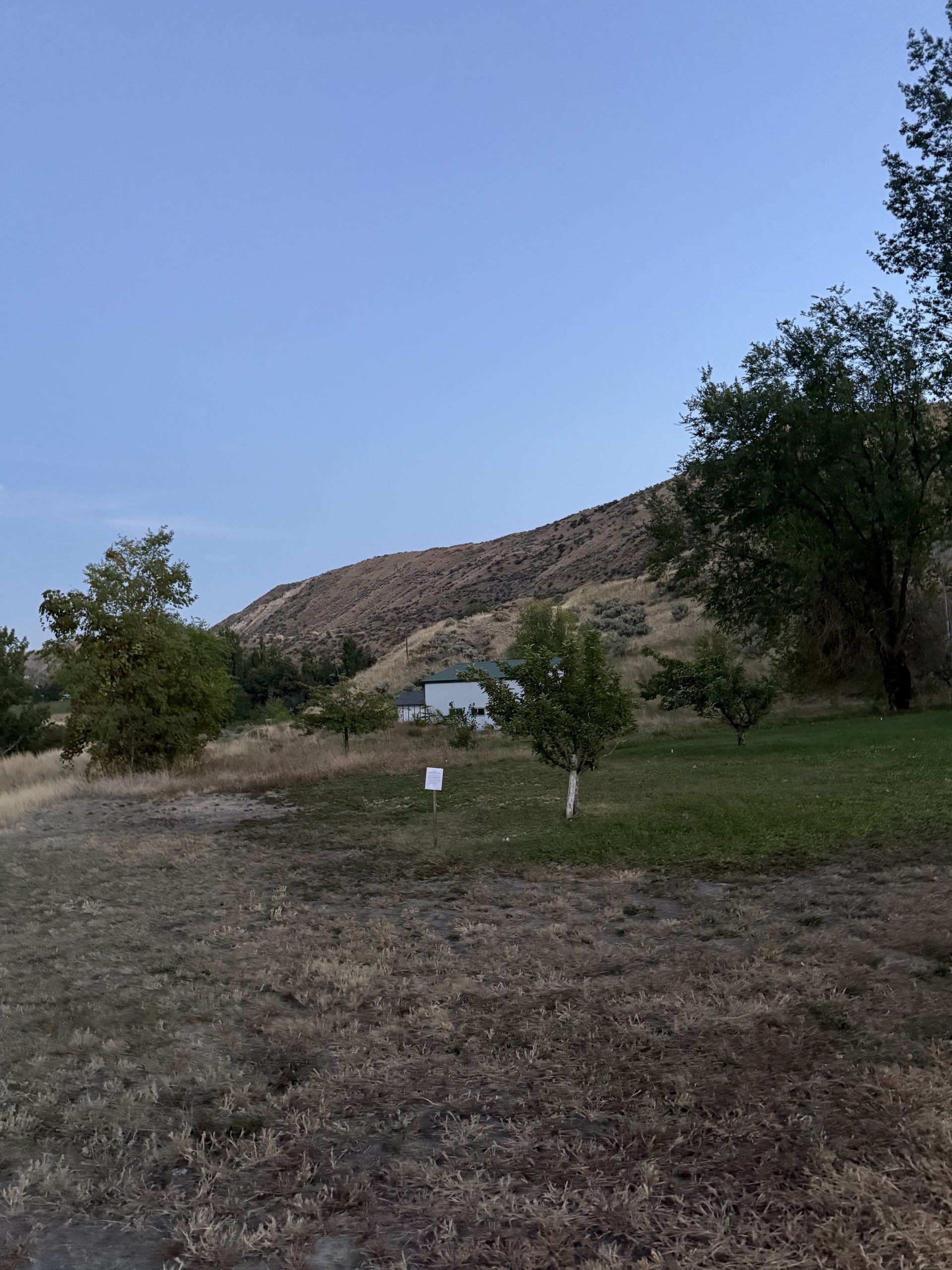 104270 Photo